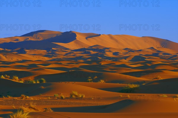 Merzouga