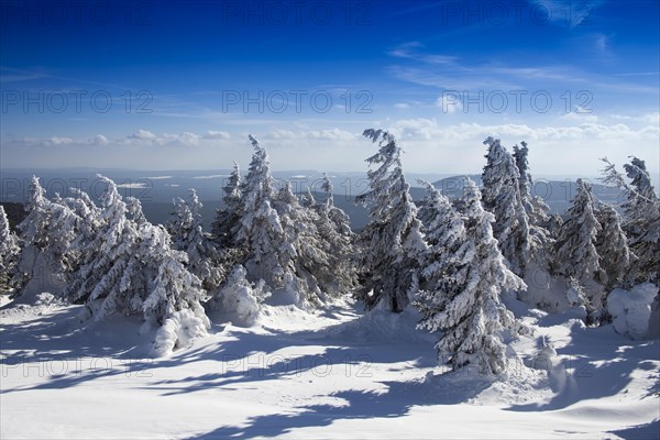 Harz