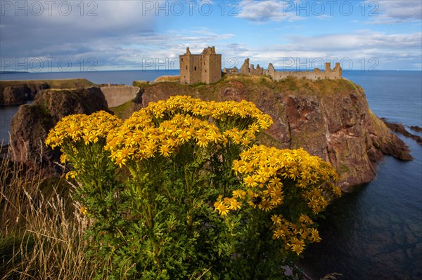 Dunnottar Castle