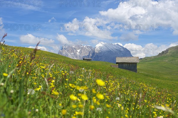 Alpine huts on the Alpe di Siusi with Sassolungo and Sassolungo