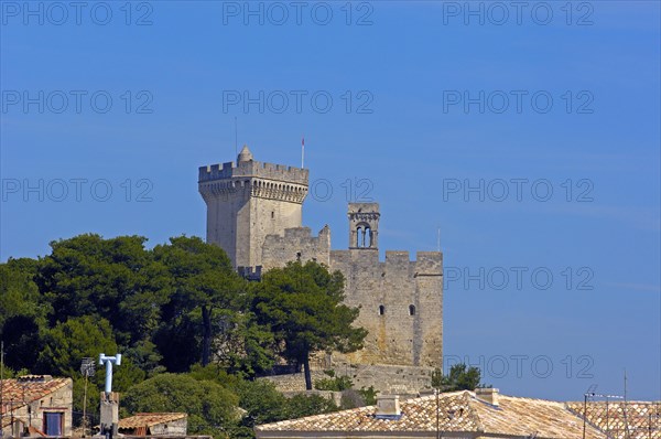 Beaucaire Castle