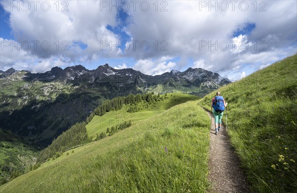 Hiker on a hiking trail