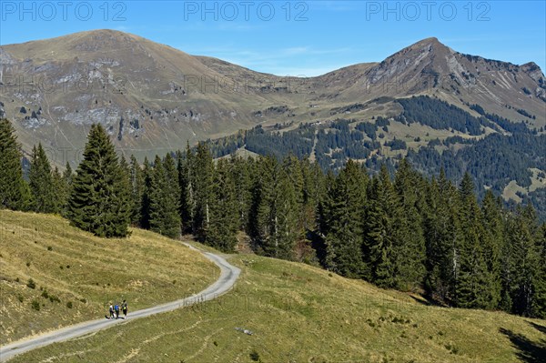 Hikers in the hiking area of Les Diablerets near the village of Les Diablerets