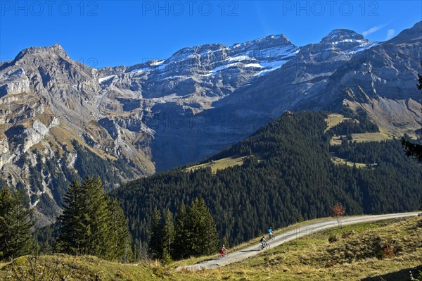 Cyclists in front of the mountain range Les Diablerets near the village Les Diablerets