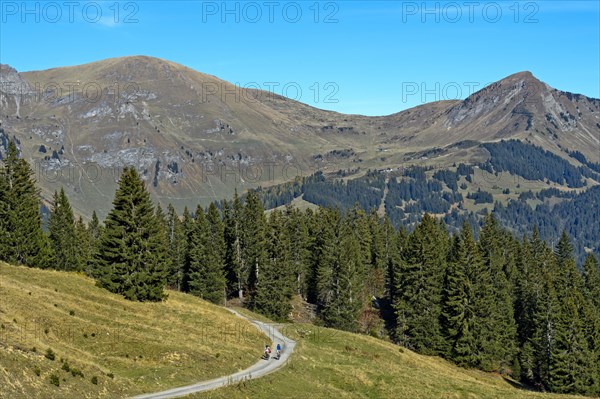 In the hiking area of Les Diablerets near the village of Les Diablerets