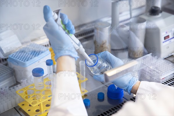 Medical laboratory assistant fills liquid into a vessel with a pipette