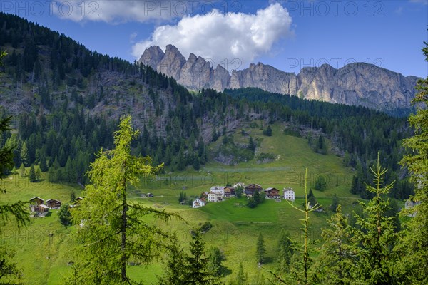 Mountain farms at the Buchenstein castle ruins