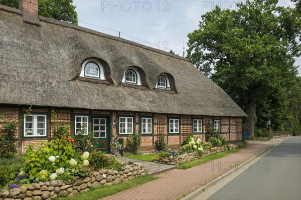 Thatched half-timbered house and summer garden