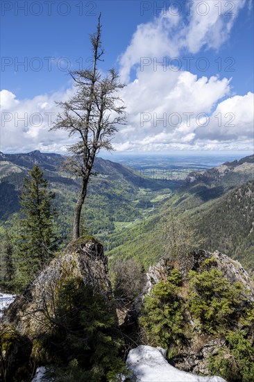 Bavarian Pre-Alps