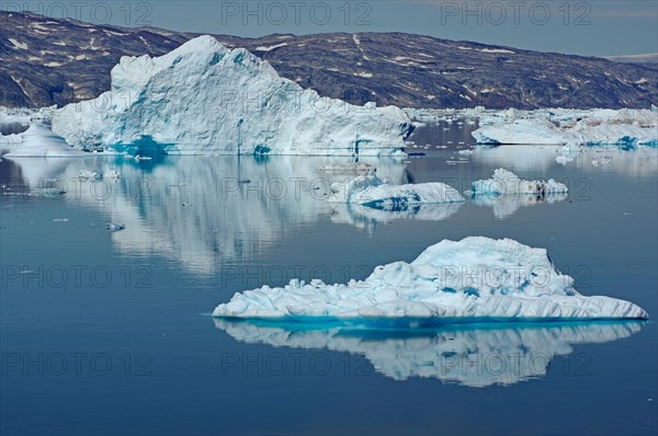 Icebergs perfectly reflected in a fjord