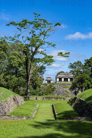 Unesco world heritage site the Maya ruins of Palenque