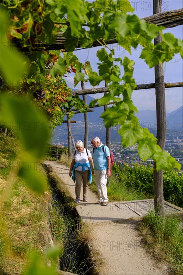 Hikers