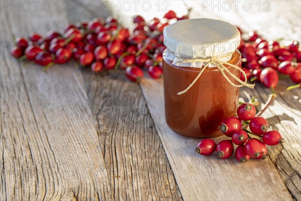 Homemade rosehip jam