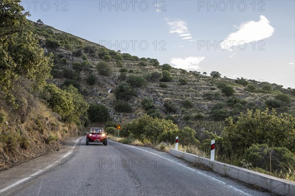 Red beach buggy on road between olive trees