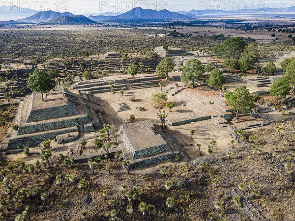 Aerial of the Mesoamerican archaeological site Cantona