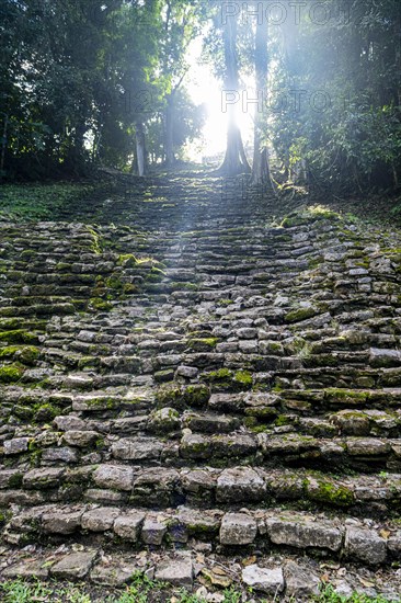 Archeological Maya site Yaxchilan in the jungle of Chiapas