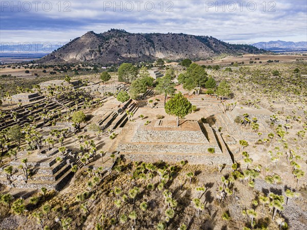 Aerial of the Mesoamerican archaeological site Cantona