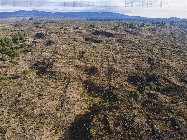 Aerial of the Mesoamerican archaeological site Cantona