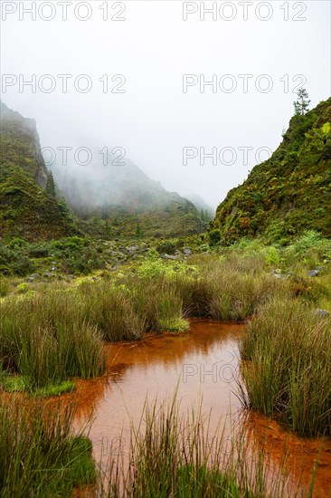 Mossy landscape with orange ferruginous water