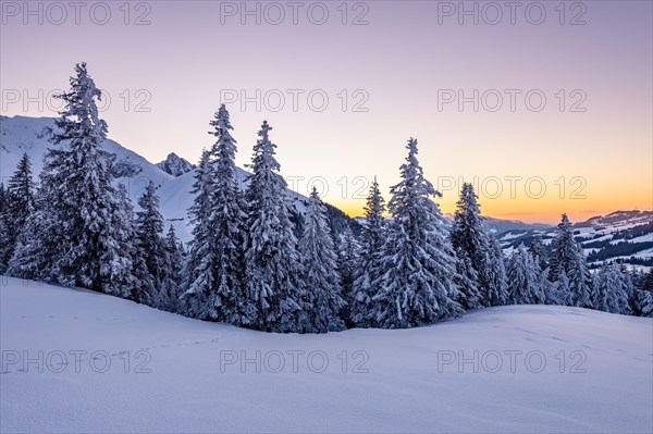 Snow-covered winter landscape on the Gurnigel Pass