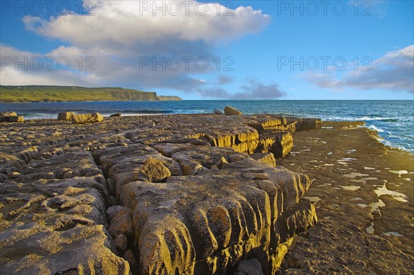 Rocky coast in the evening light