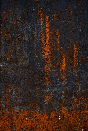 House facade with red algae growth