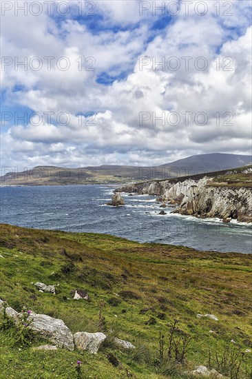 View of coast with cliffs