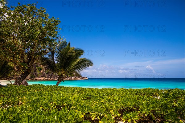 Petite Anse beach with granite rocks