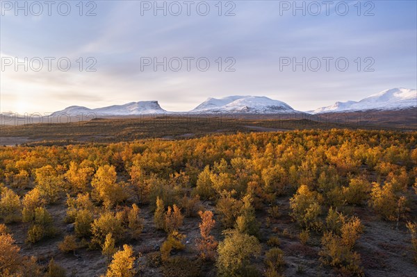 Autumnal fell landscape in front of snowy mountain group Lapporten ...