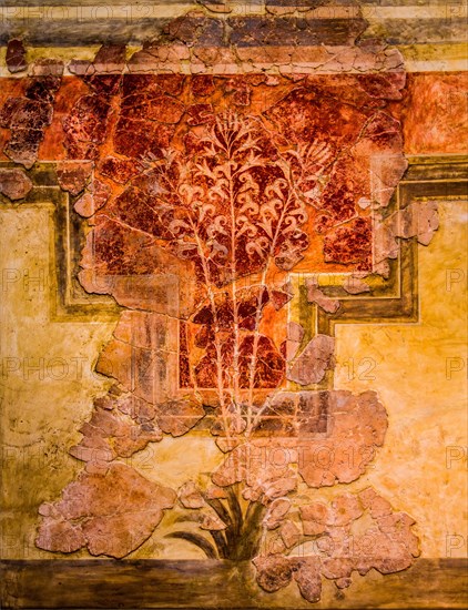 part-of-the-lily-frescoes-of-the-lily-villa-from-amnissos-photo12