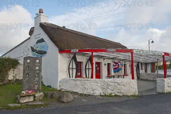 Thatched house