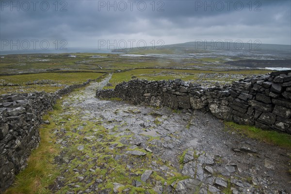 Hiking trail to the cliff at Dun Aonghasa