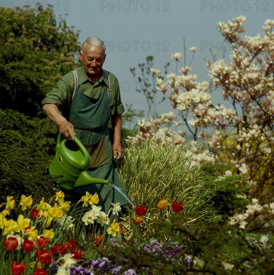 Amateur gardener watering