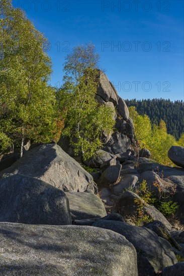 Rock formation in the Oker Valley