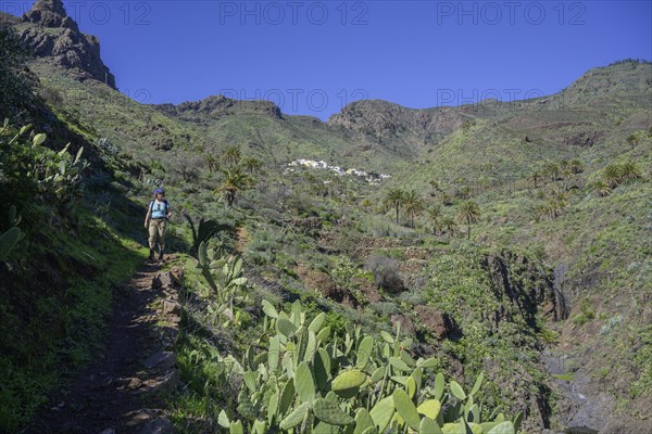 Hiker on hiking trail Barranco Guarimar in the background Place Imada