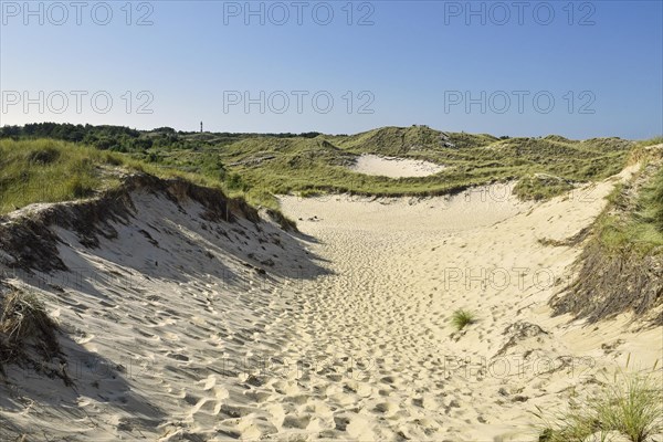 Paths in the dunes near Wittduen