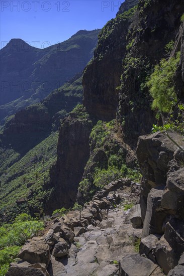 Spectacular trail in Barranco Guarimar