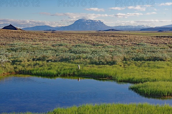 Small ponds