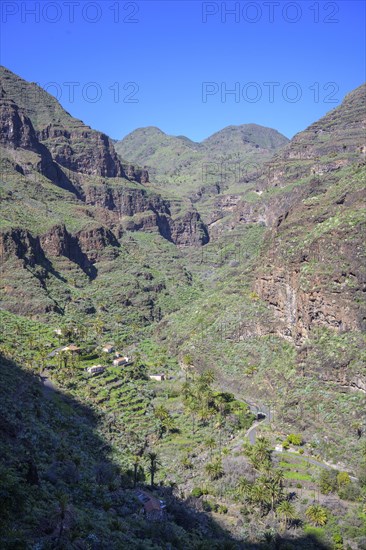 View back into the Barranco Guarimar