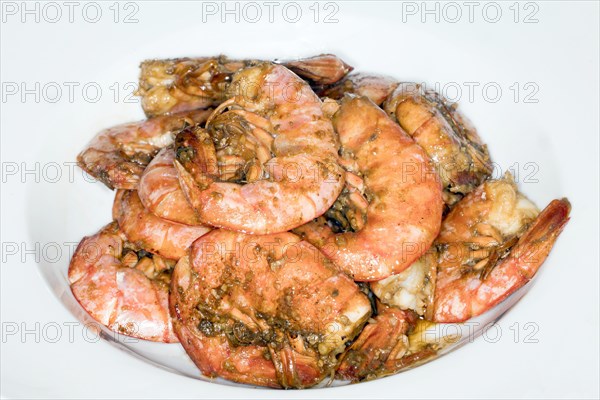 argentine-red-prawns-photo12-imagebroker-siegra-asmoel