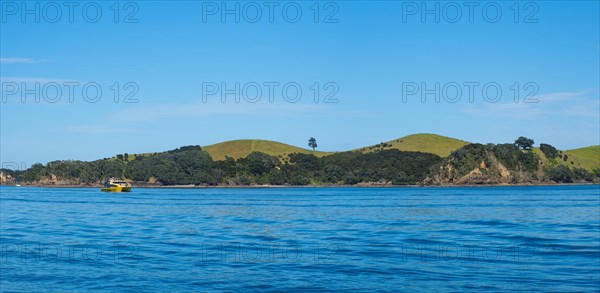 Bay of Islands Coast