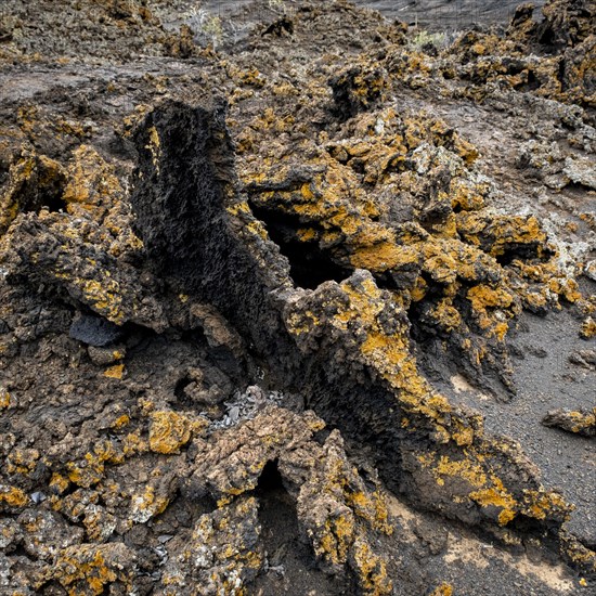 Pahoehoe lava