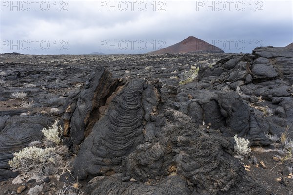 Typical volcanic landscape near La Restinga