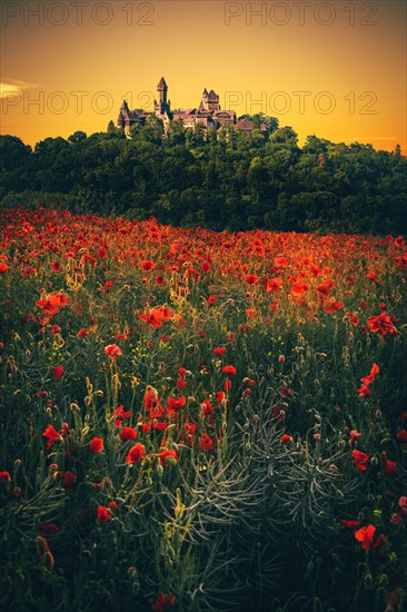 Braunfels Castle