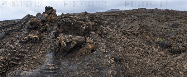 Typical volcanic landscape near La Restinga