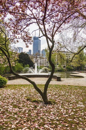 Spring in Frankfurt