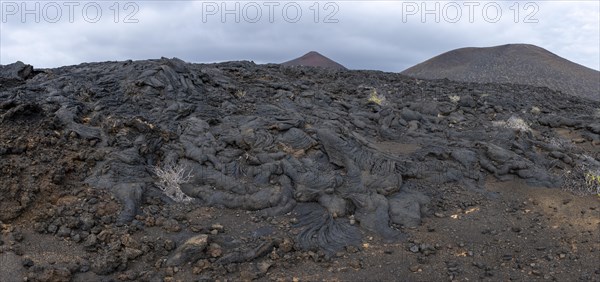 Typical volcanic landscape near La Restinga