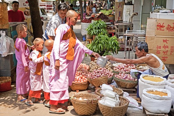 Female monks with begging bowl