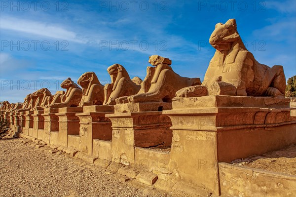 Ram sphinxes in front of the 1st pylon with the statue of Ramses II between the legs