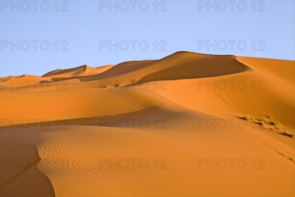 Sand dunes in the desert near Erg Chebbi